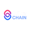sellerschain.com